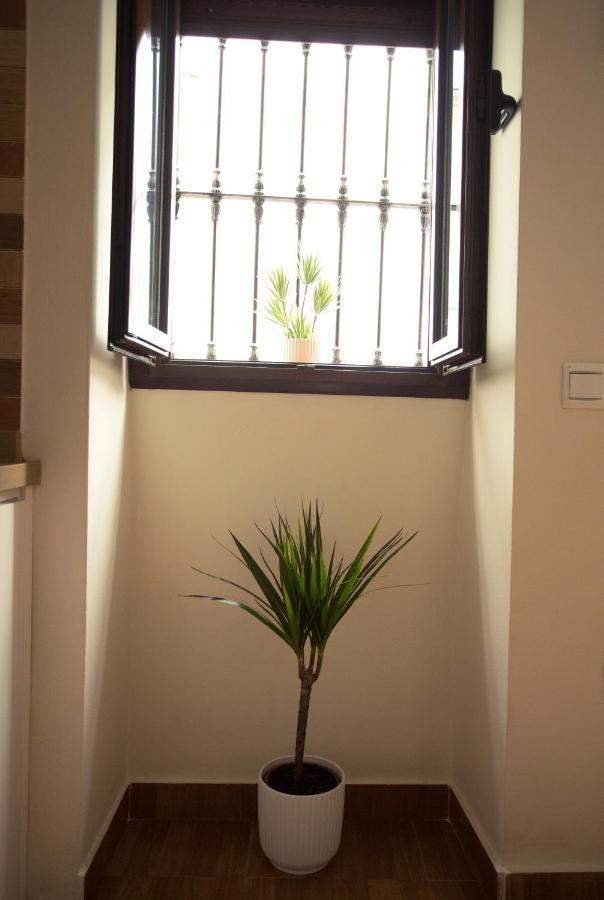 Apartamento Entrecaminos Setenil De Las Bodegas Buitenkant foto